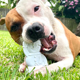 Nylon Snowman-Dog Toy-Rover Pet Products